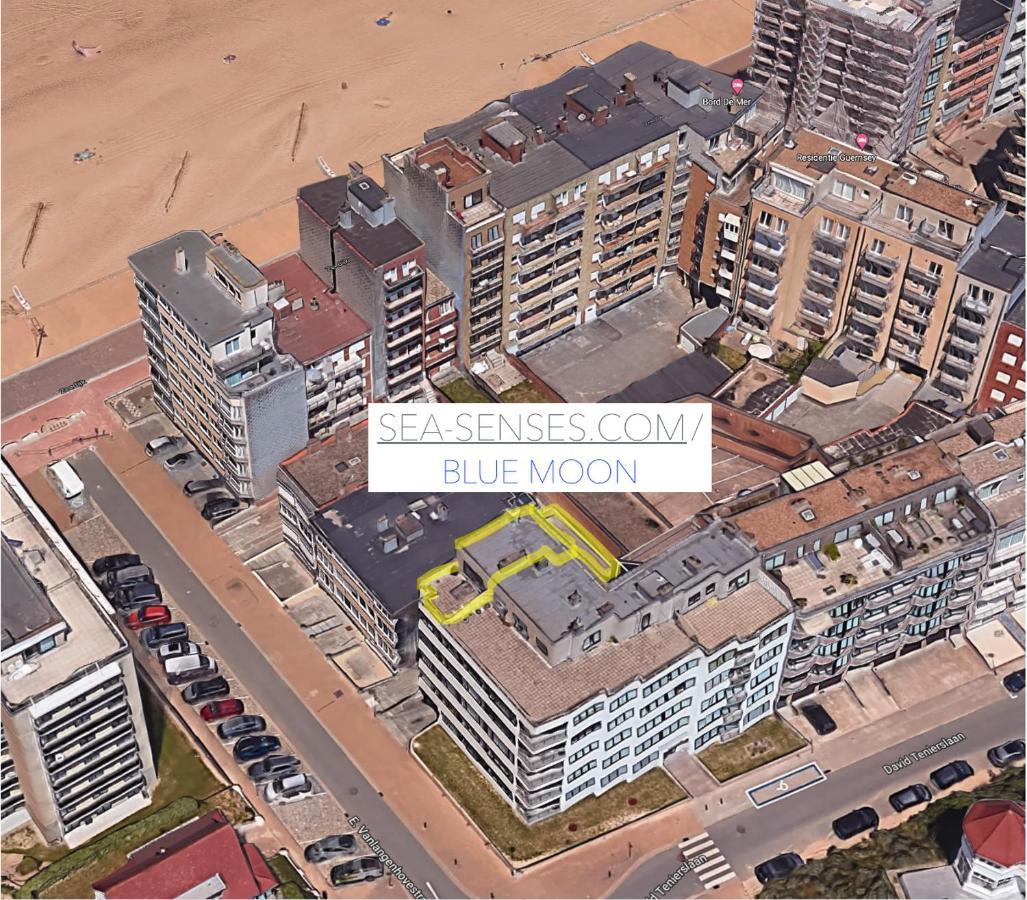 Sea-Senses Com/Blue Moon Apartman Koksijde Kültér fotó